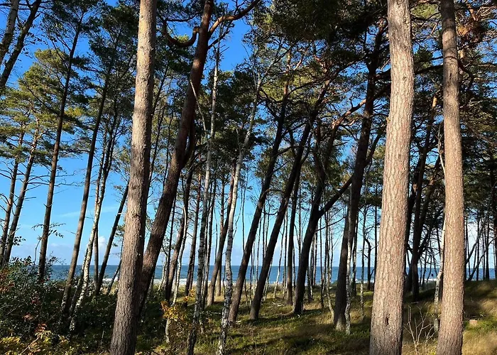 Lägenhet Baltic Harmony - Easy-rent Pobierowo